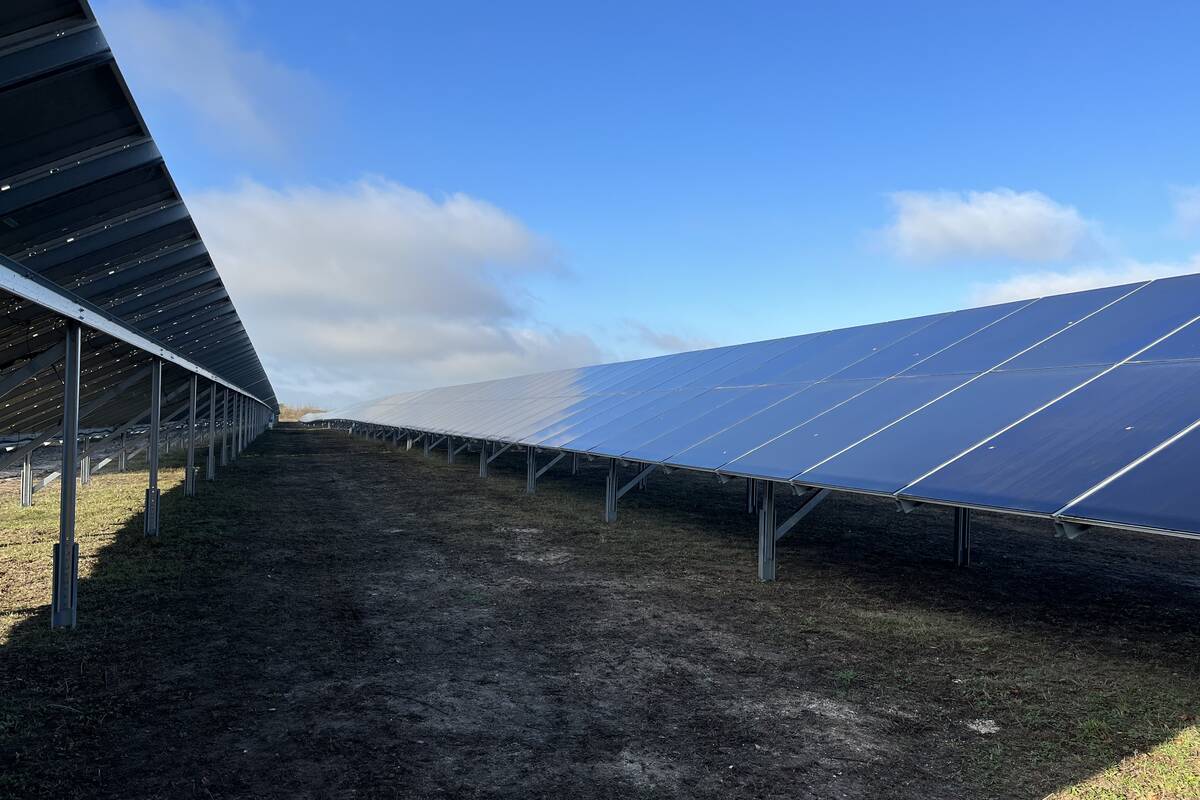 découvrez notre centrale solaire qui transforme l'énergie du soleil en électricité renouvelable. profitez d'une solution durable et écologique pour réduire votre empreinte carbone tout en réalisant des économies sur vos factures d'énergie.