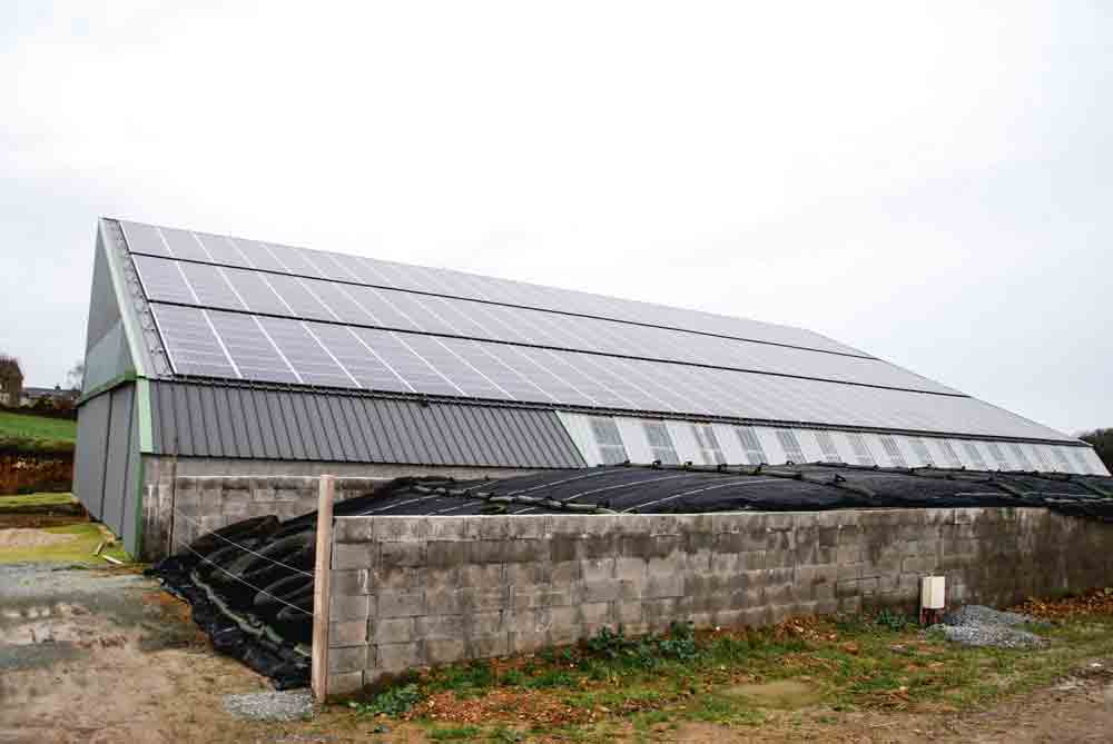 découvrez comment bénéficier d'un bâtiment agricole photovoltaïque gratuit. profitez d'énergies renouvelables pour réduire vos coûts d'exploitation tout en contribuant à la transition énergétique. une solution innovante pour le secteur agricole.