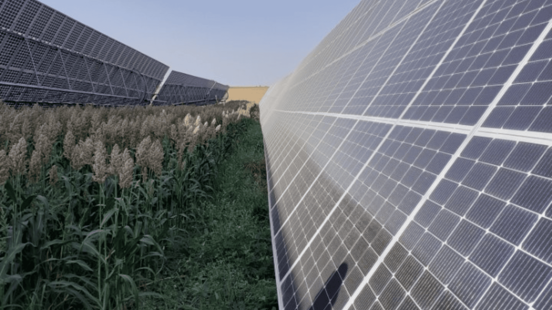 découvrez les forums photovoltaïques agricoles, un espace d'échange et de partage dédié aux agriculteurs souhaitant optimiser leur production grâce à l'énergie solaire. participez aux discussions sur les meilleures pratiques, les innovations technologiques et les retours d'expérience pour intégrer efficacement les solutions photovoltaïques dans votre activité agricole.