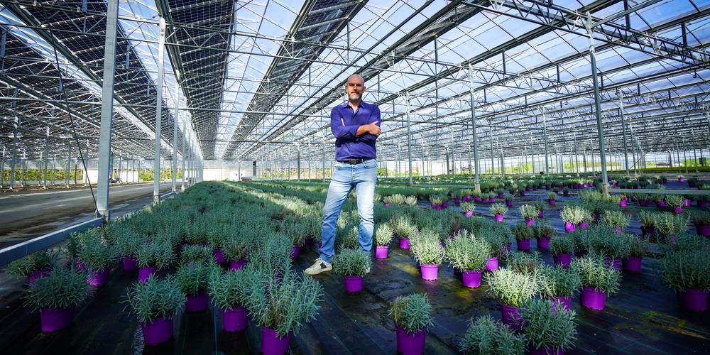 découvrez les nombreux avantages des serres photovoltaïques, qui allient agriculture durable et production d'énergie renouvelable. optimisez vos rendements tout en réduisant votre empreinte carbone grâce à cette solution innovante.