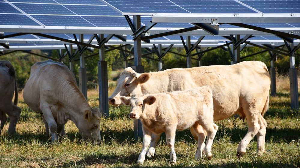découvrez les nombreux bénéfices des systèmes photovoltaïques, allant de la réduction des factures d'électricité à l'impact positif sur l'environnement. informez-vous sur les économies d'énergie, les crédits d'impôt, et la valorisation de votre patrimoine grâce à l'énergie solaire.