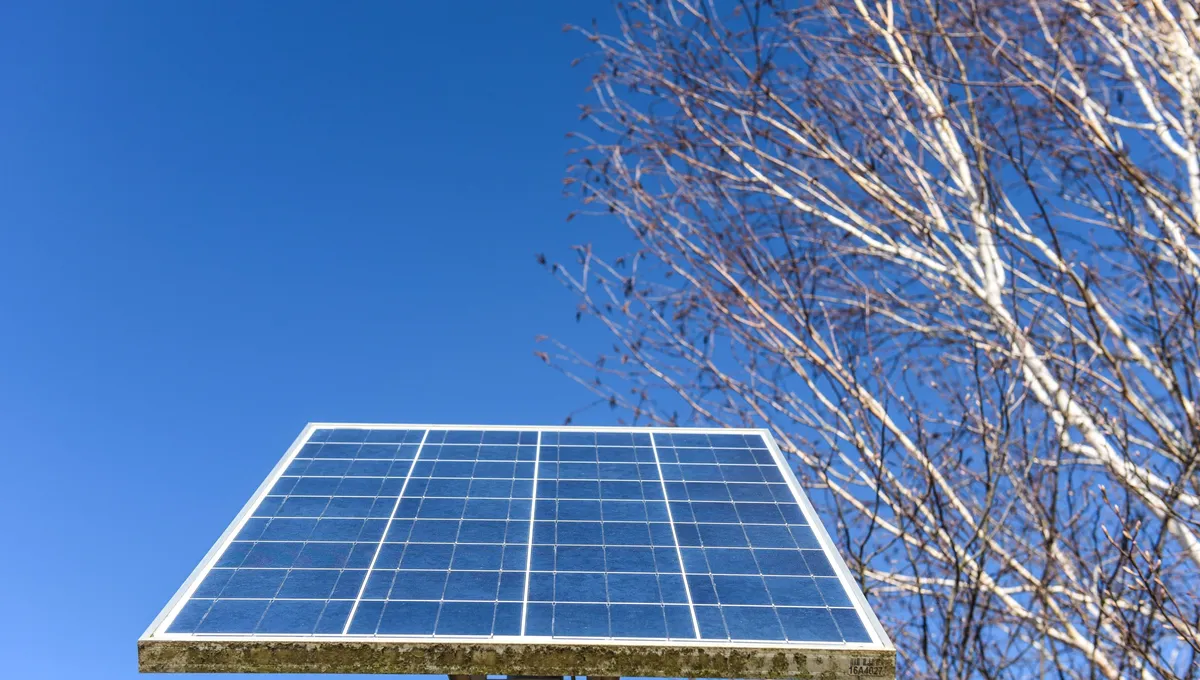 découvrez comment réaliser des économies d'énergie tout en préservant l'environnement grâce à l'achat de panneaux solaires. explorez nos offres compétitives et faites le choix idéal pour votre projet d'énergie renouvelable.