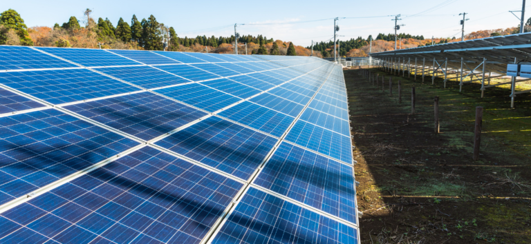 découvrez comment optimiser votre consommation d'énergie et réduire vos factures avec l'achat de panneaux solaires. trouvez des solutions adaptées à vos besoins et bénéficiez d'énergies renouvelables pour un avenir durable.