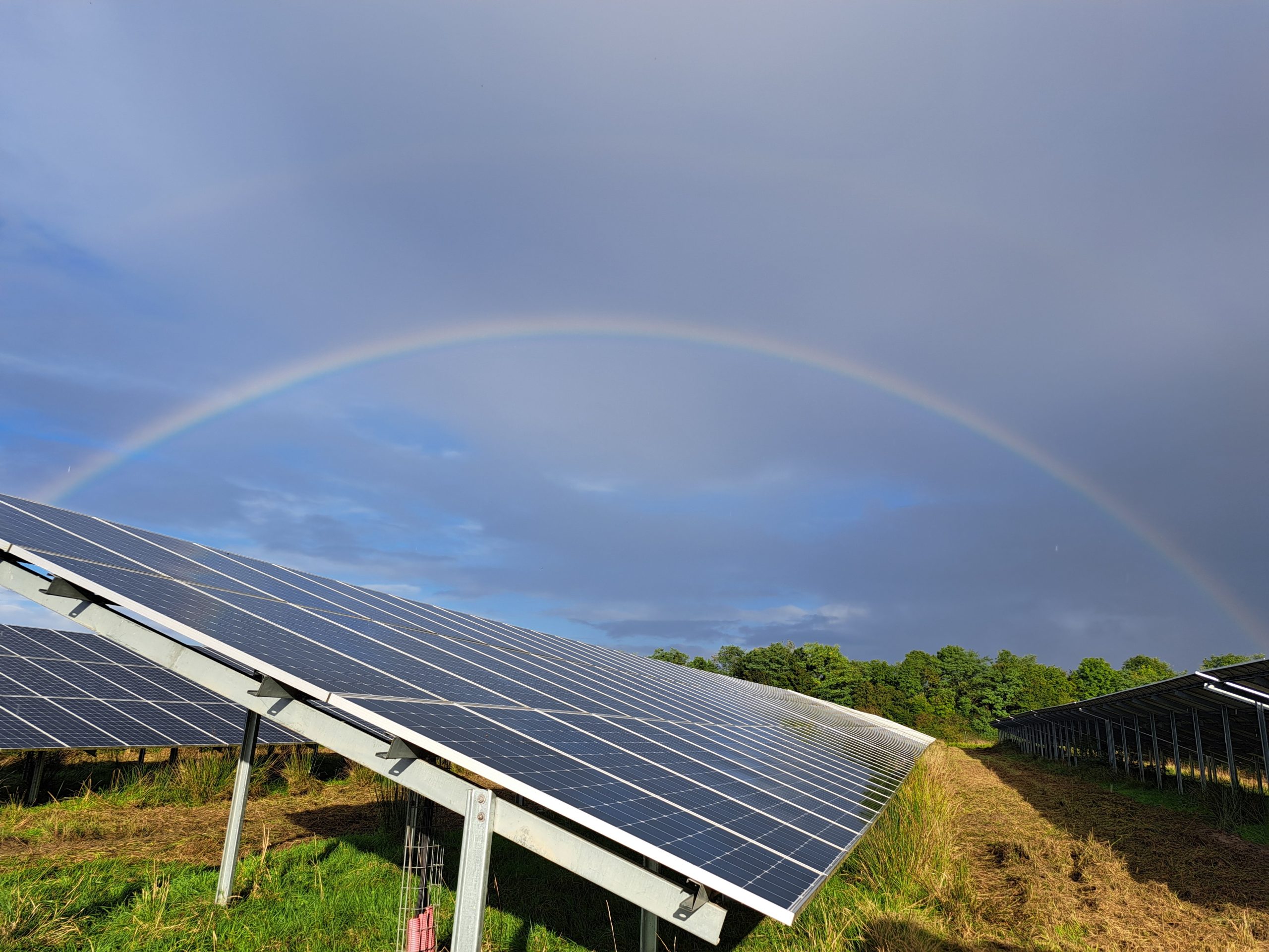 restez informé des dernières tendances et développements dans le secteur photovoltaïque. découvrez les innovations, les politiques et les projets clés qui façonnent l'avenir de l'énergie solaire.