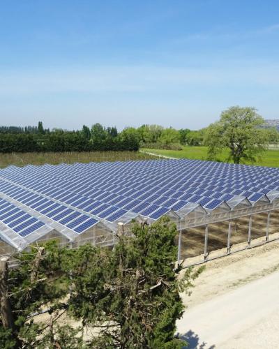 découvrez l'agri-photovoltaique, une solution innovante qui allie agriculture et énergie solaire. maximisez vos terres tout en produisant de l'énergie renouvelable et en préservant l'environnement. informez-vous sur les avantages et les techniques de mise en œuvre de ce système durable.