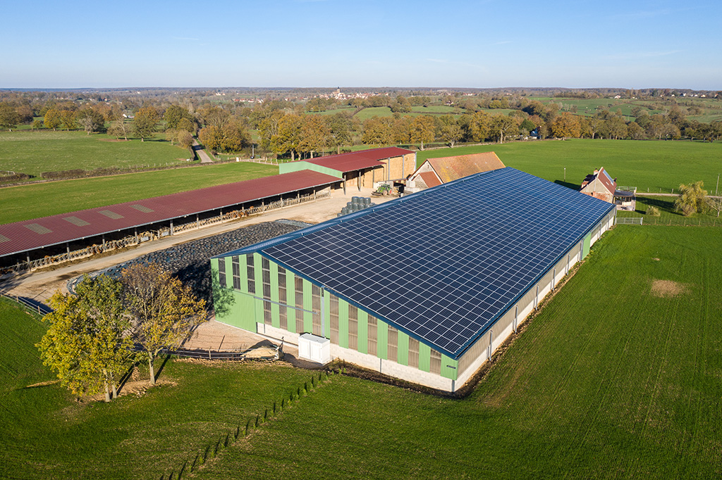 découvrez les différentes aides photovoltaïques disponibles pour les agriculteurs en france. apprenez comment maximiser vos investissements, bénéficier de subventions et contribuer à une agriculture durable tout en réduisant vos coûts énergétiques.
