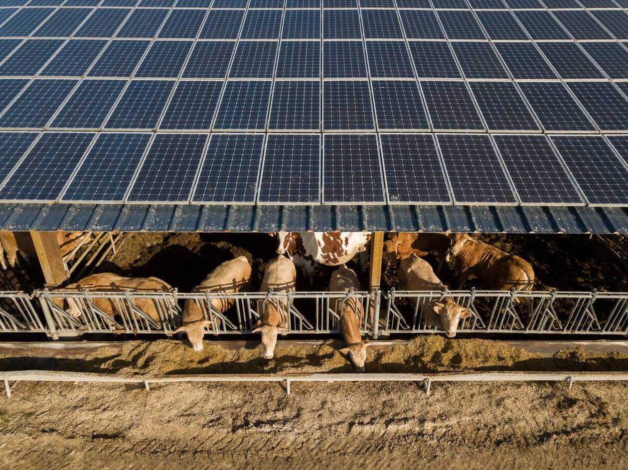 découvrez les différentes aides photovoltaïques disponibles pour les agriculteurs en france. maximisez votre production et réduisez vos coûts énergétiques grâce à des subventions et des financements adaptés à vos besoins.
