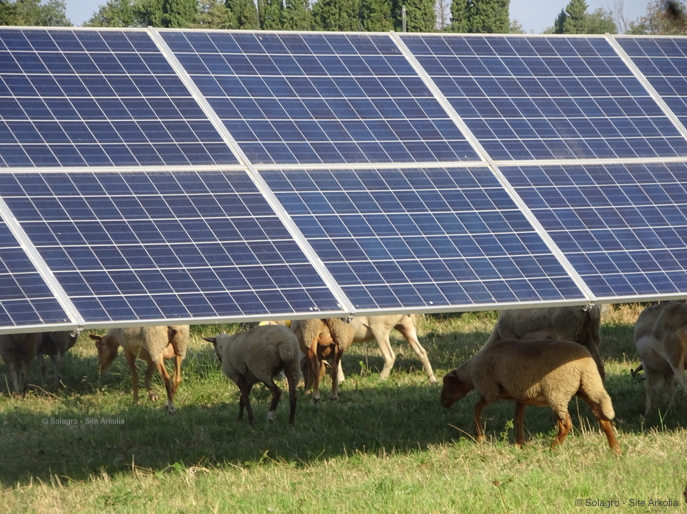découvrez arkolia solaire, un leader dans le domaine des solutions énergétiques renouvelables en france. profitez de notre expertise en installation de panneaux solaires pour optimiser votre consommation d'énergie et contribuer à un avenir durable.