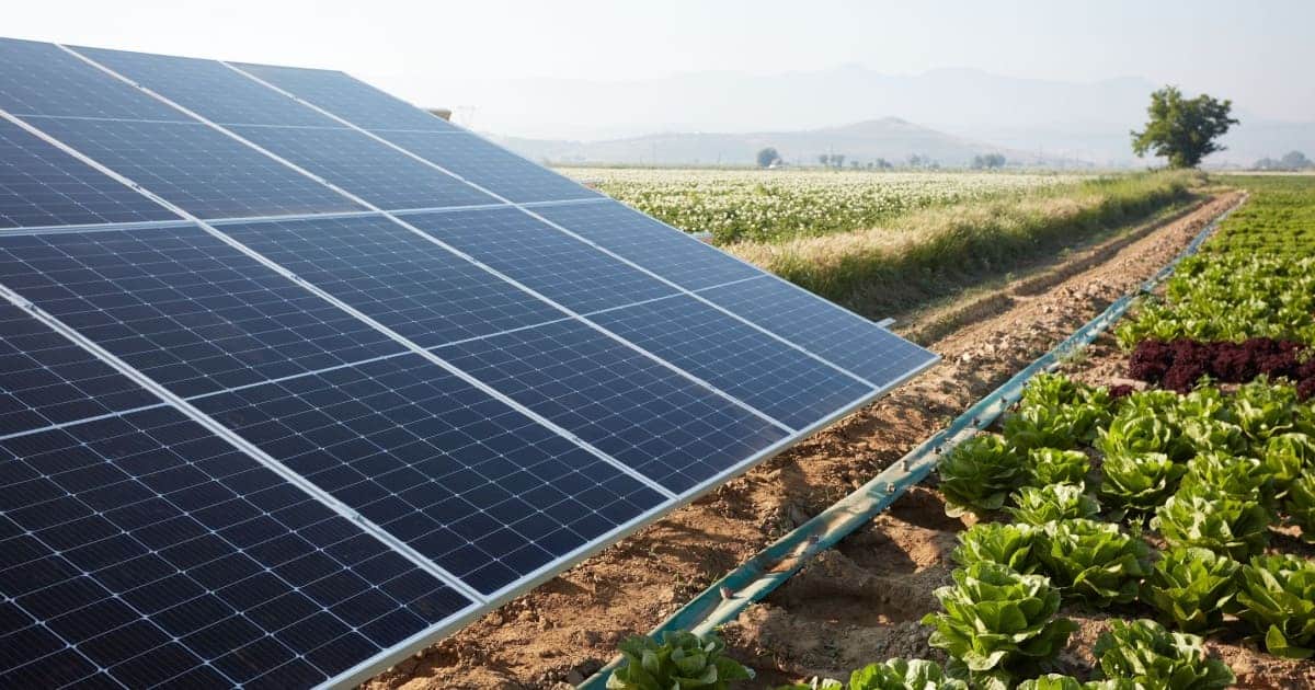découvrez les avantages des bâtiments agricoles équipés de panneaux photovoltaïques : optimisez la production énergétique, réduisez vos coûts d'exploitation et contribuez à la protection de l'environnement tout en valorisant votre exploitation agricole.