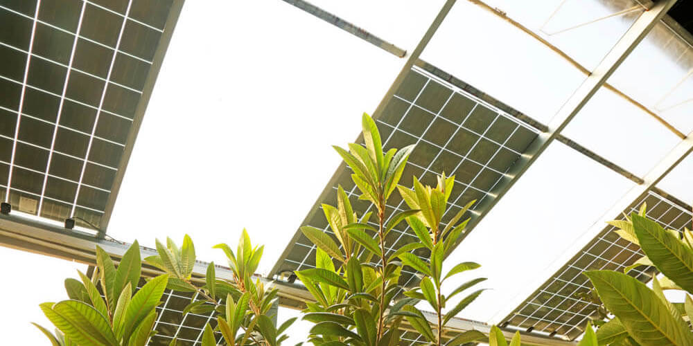 découvrez les nombreux avantages des serres photovoltaïques, qui allient agriculture et production d'énergie renouvelable. optimisez votre rendement tout en préservant l'environnement grâce à cette solution innovante.