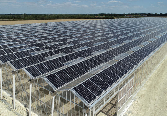 découvrez les nombreux avantages des serres photovoltaïques, qui allient production agricole et énergie renouvelable. optimisez votre rendement tout en réduisant votre empreinte carbone grâce à cette solution innovante et durable.