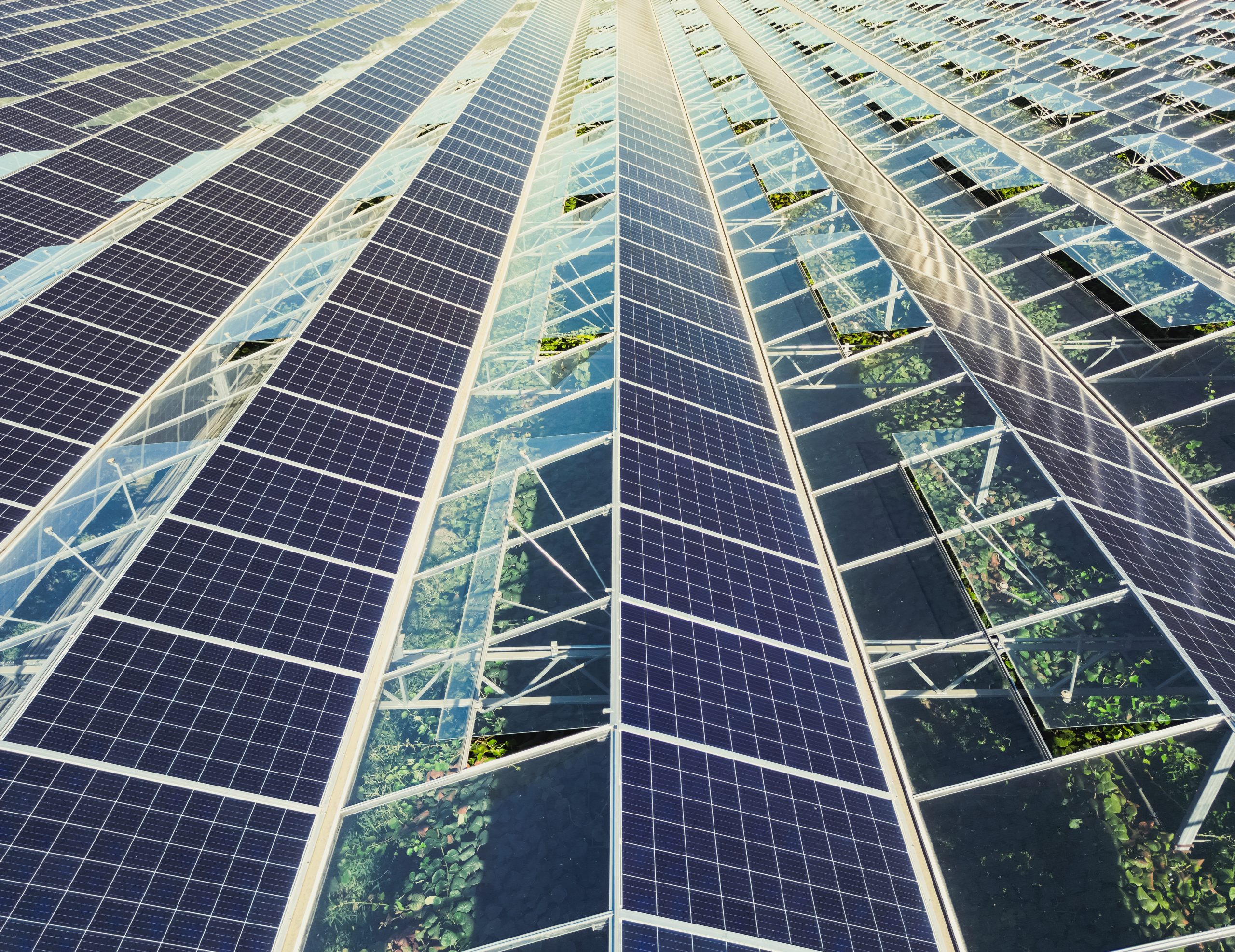 découvrez les nombreux avantages des forums photovoltaïques : échange d'idées, partage d'expériences, conseils d'experts, et informations sur les dernières technologies solaires. obtenez des réponses à vos questions et rejoignez une communauté passionnée par l'énergie renouvelable.