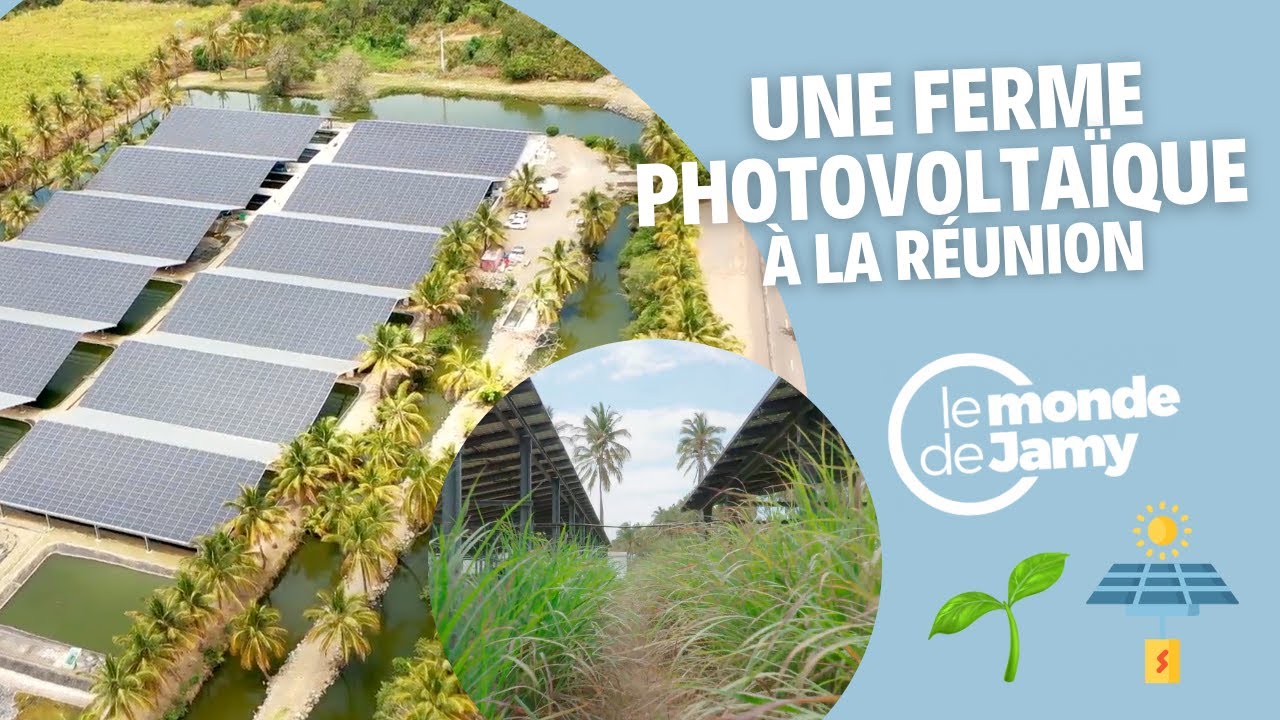 découvrez les avis sur alma solar, leader dans le secteur des énergies renouvelables. explorez les retours d'expérience de clients sur leurs produits solaires et services, et faites le bon choix pour votre installation photovoltaïque.