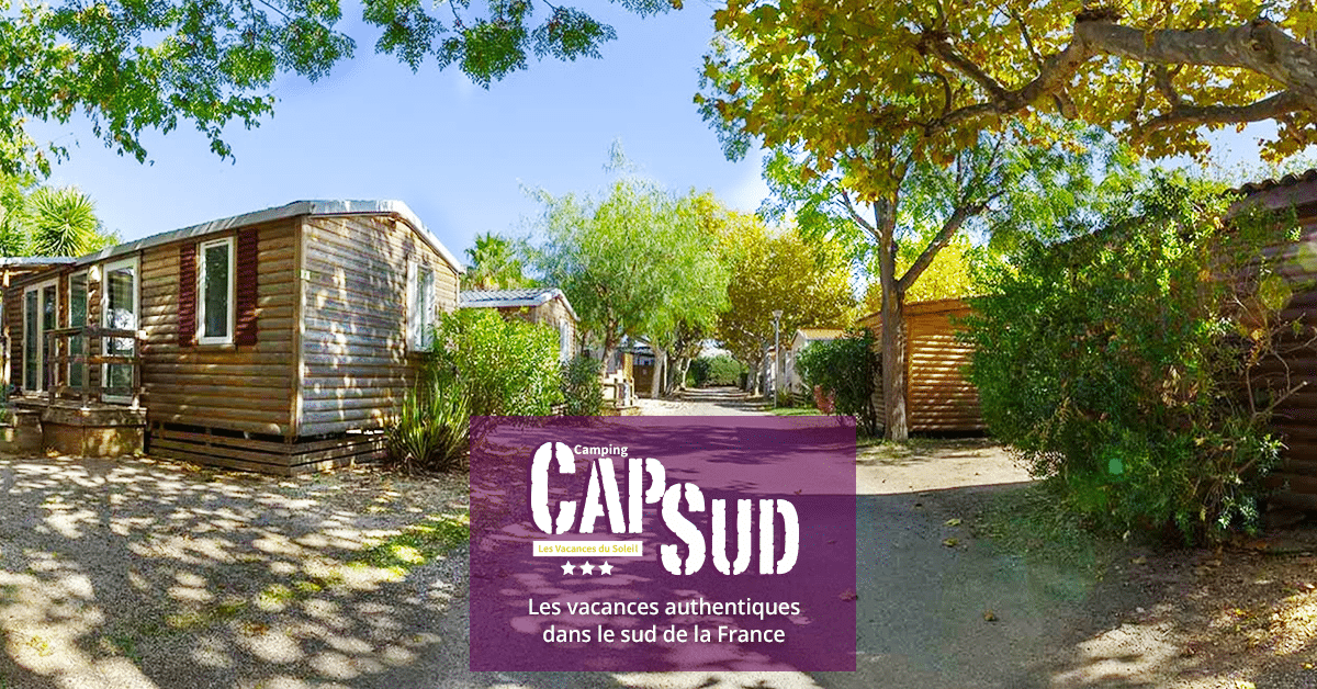 découvrez les avis sur cap sud pv : une analyse des expériences clients, des services proposés et des points forts de cet établissement. informez-vous avant de faire votre choix !