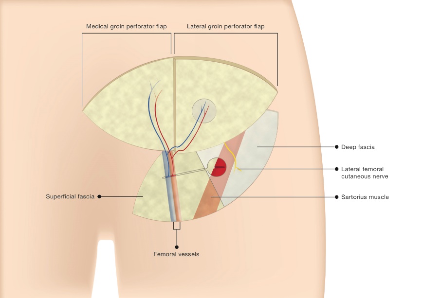 découvrez notre analyse complète des avis sur ilioc, une plateforme innovante qui facilite la gestion de vos projets. lisez les retours d'expérience des utilisateurs et faites le choix éclairé qui répond à vos besoins.