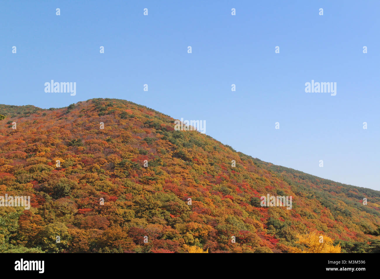 découvrez notre avis sur oméo, un service innovant qui transforme votre expérience client. lisez notre analyse complète pour savoir si oméo répond à vos attentes et comment il se compare à d'autres solutions du marché.