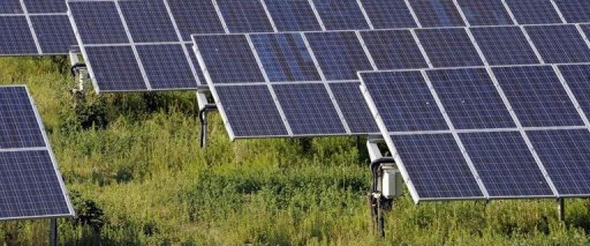 découvrez notre avis complet sur les panneaux solaires q cells. analyse des performances, rapport qualité-prix et témoignages d'utilisateurs pour vous aider à faire le meilleur choix pour votre installation solaire.