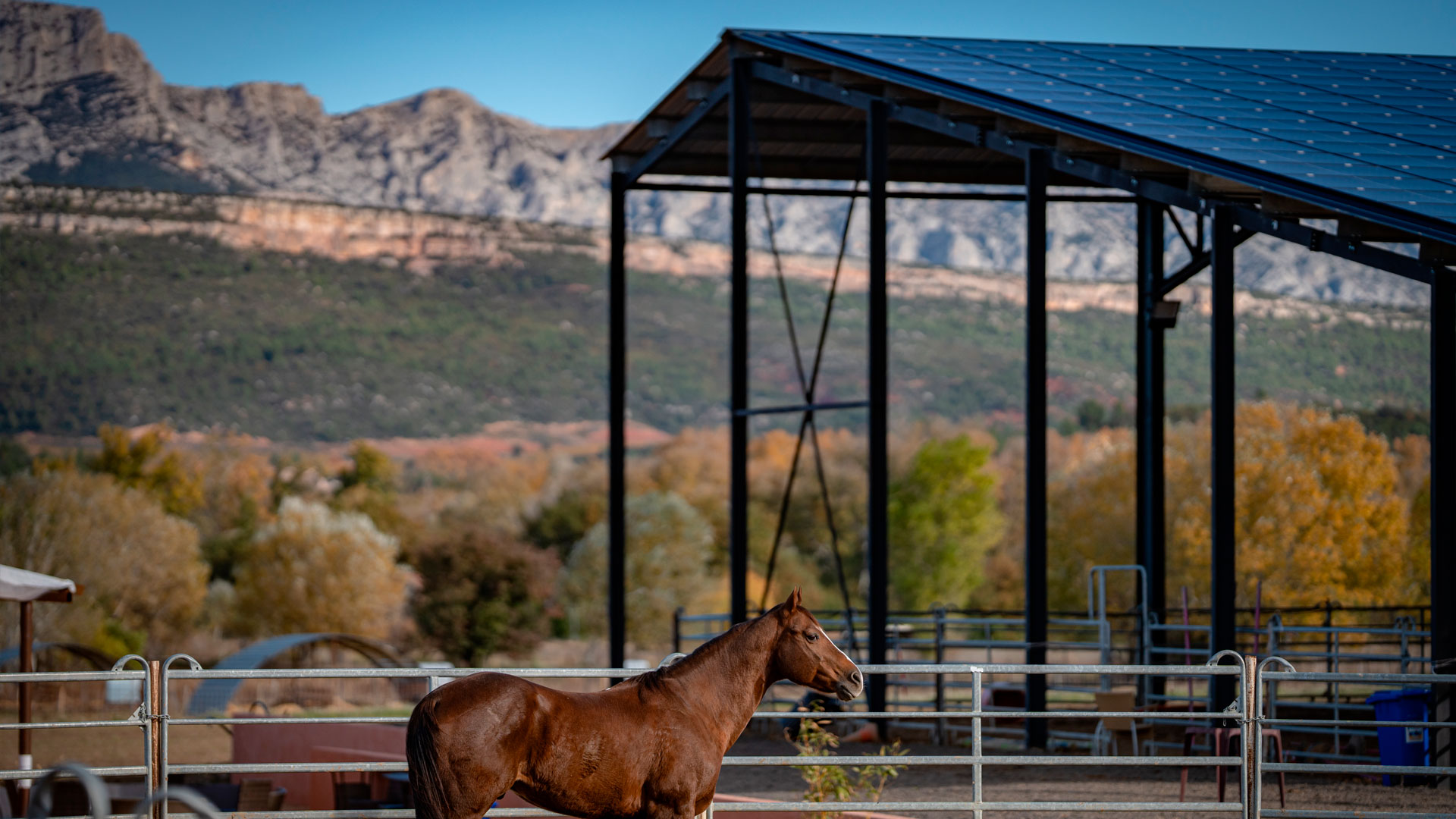 découvrez notre bâtiment équestre photovoltaïque, une solution innovante alliant la passion des équidés et le respect de l'environnement. offrez à vos chevaux un espace confortable tout en réduisant votre empreinte carbone grâce à des panneaux solaires intégrés.