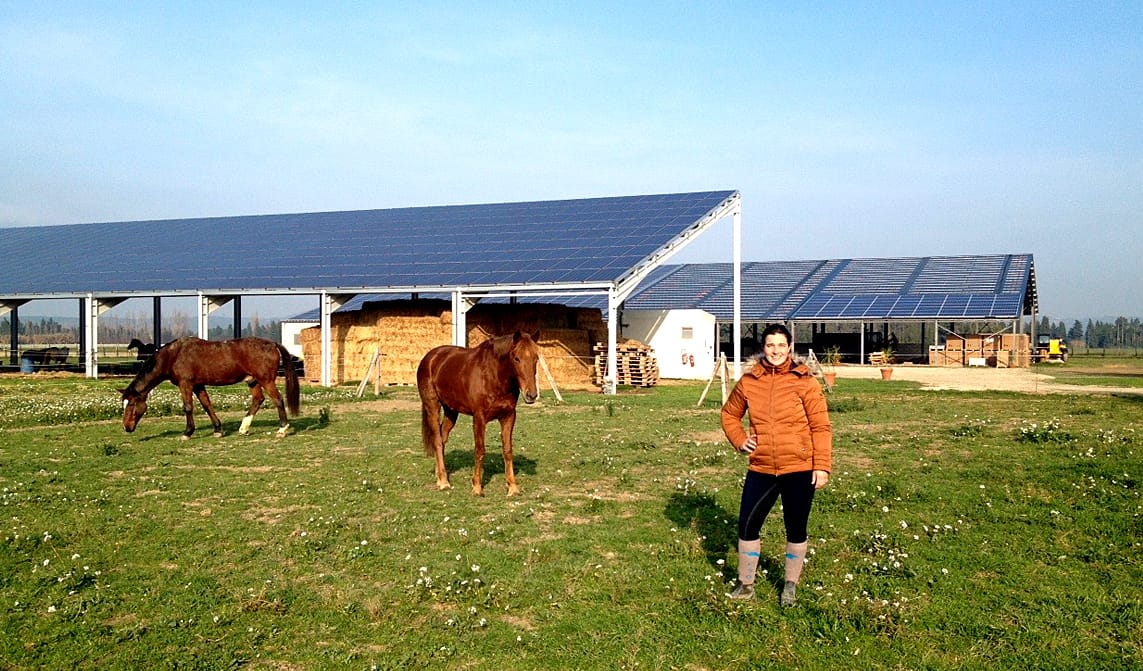 découvrez notre bâtiment équestre photovoltaïque, une solution écologique et innovante pour les chevaux. alliant confort pour les animaux et production d'énergie propre, ce bâtiment moderne est idéal pour les passionnés d'équitation soucieux de l'environnement.