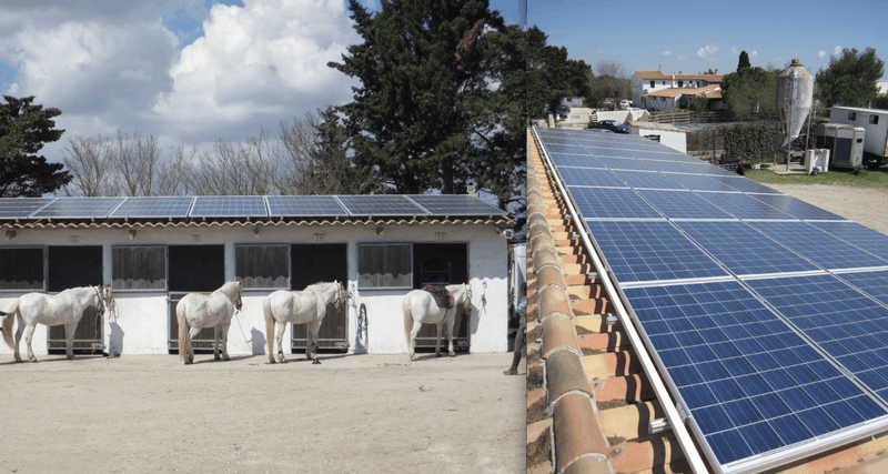 découvrez notre bâtiment équestre photovoltaïque, conçu pour allier performance équestre et respect de l'environnement. profitez d'une structure moderne qui utilise l'énergie solaire pour réduire vos coûts tout en offrant un espace optimal pour vos chevaux.