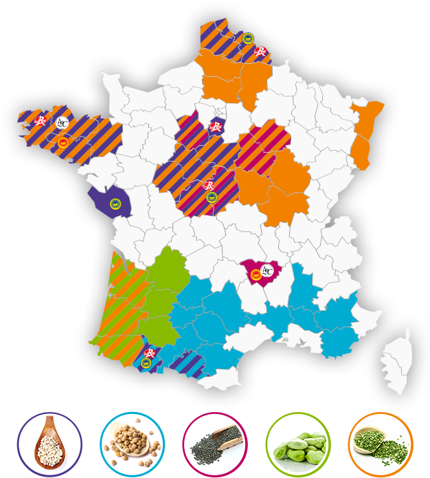 découvrez les facteurs clés influençant le rendement régional, des analyses détaillées aux statistiques essentielles. optimisez vos stratégies de développement en comprenant les dynamiques économiques et sociales de votre région.