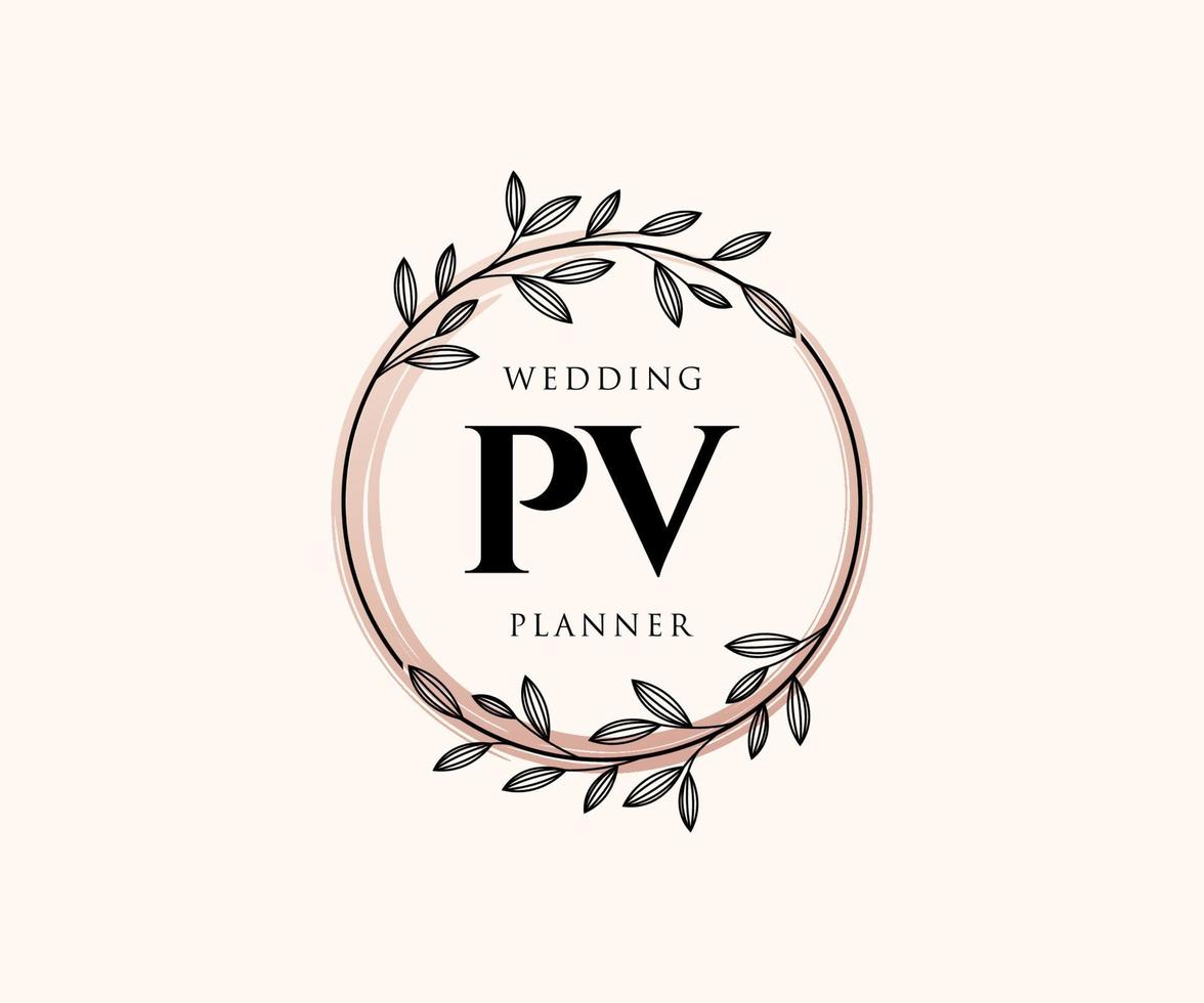 découvrez notre boutique pv, votre destination unique pour des produits de qualité, des offres exceptionnelles et un service client irréprochable. parcourez nos collections et trouvez tout ce dont vous avez besoin dans un seul endroit.