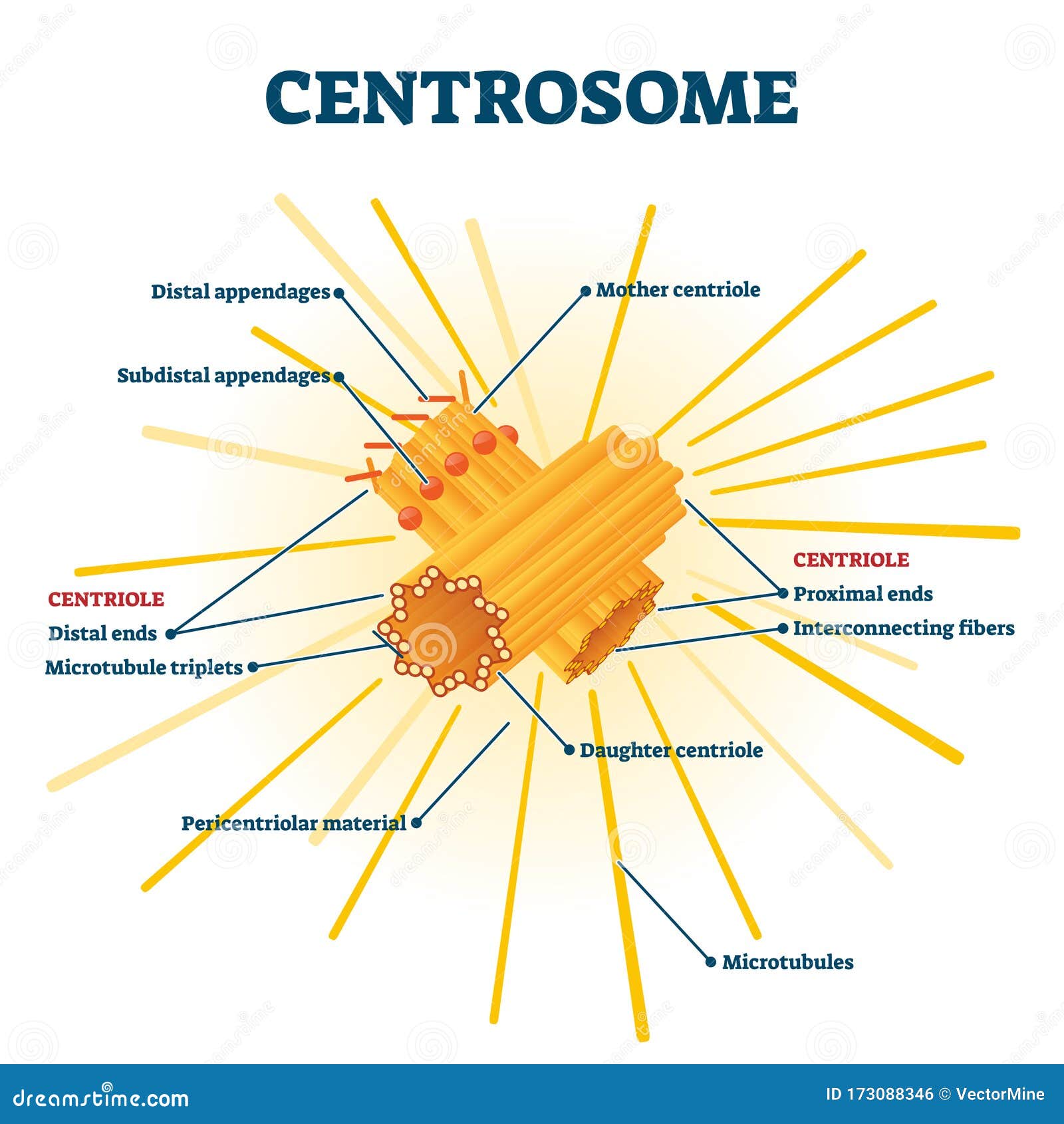 découvrez centrosolaire, votre expert en solutions d'énergie solaire. offrant des panneaux solaires de haute qualité et des services personnalisés, nous vous aidons à réduire vos factures d'énergie tout en préservant l'environnement. rejoignez la transition énergétique dès aujourd'hui !