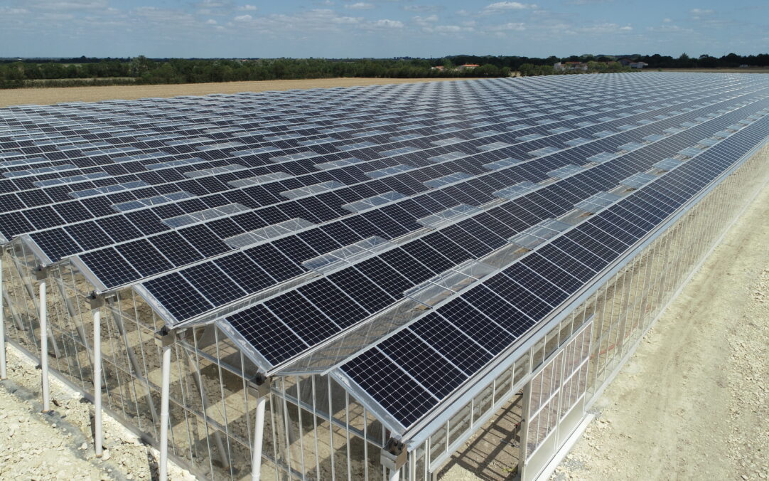 découvrez les avantages du chauffage solaire pour votre serre : une solution écologique et économique pour optimiser la croissance de vos plantes tout en réduisant votre empreinte carbone.