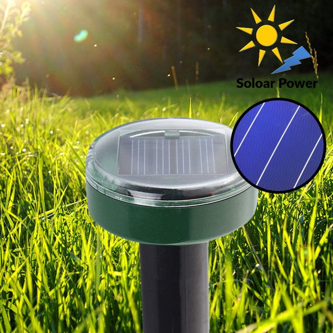 découvrez les dangers du choc solaire, ses symptômes et les moyens de prévention. apprenez à vous protéger des coups de chaleur et à profiter du soleil en toute sécurité.