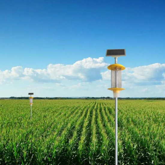 découvrez les effets du choc solaire et comment protéger votre peau des rayons uv. apprenez à reconnaître ses symptômes et à prévenir cette condition tout en profitant du soleil en toute sécurité.