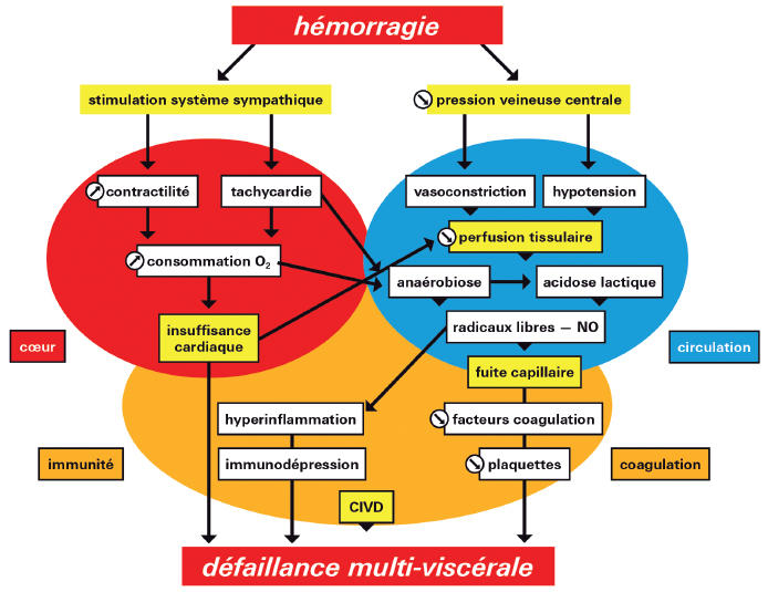 découvrez l'univers captivant du choc : des informations fascinantes sur les différentes sortes de chocolat, leurs bienfaits, des recettes irrésistibles et des astuces pour savourer chaque bouchée. plongez dans un monde de délices et d'originalité !