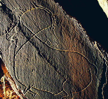 découvrez le coa languedoc, une expérience unique au cœur de la région, où la richesse de la culture, les paysages enchanteurs et la gastronomie renommée se rencontrent pour vous offrir un voyage inoubliable.