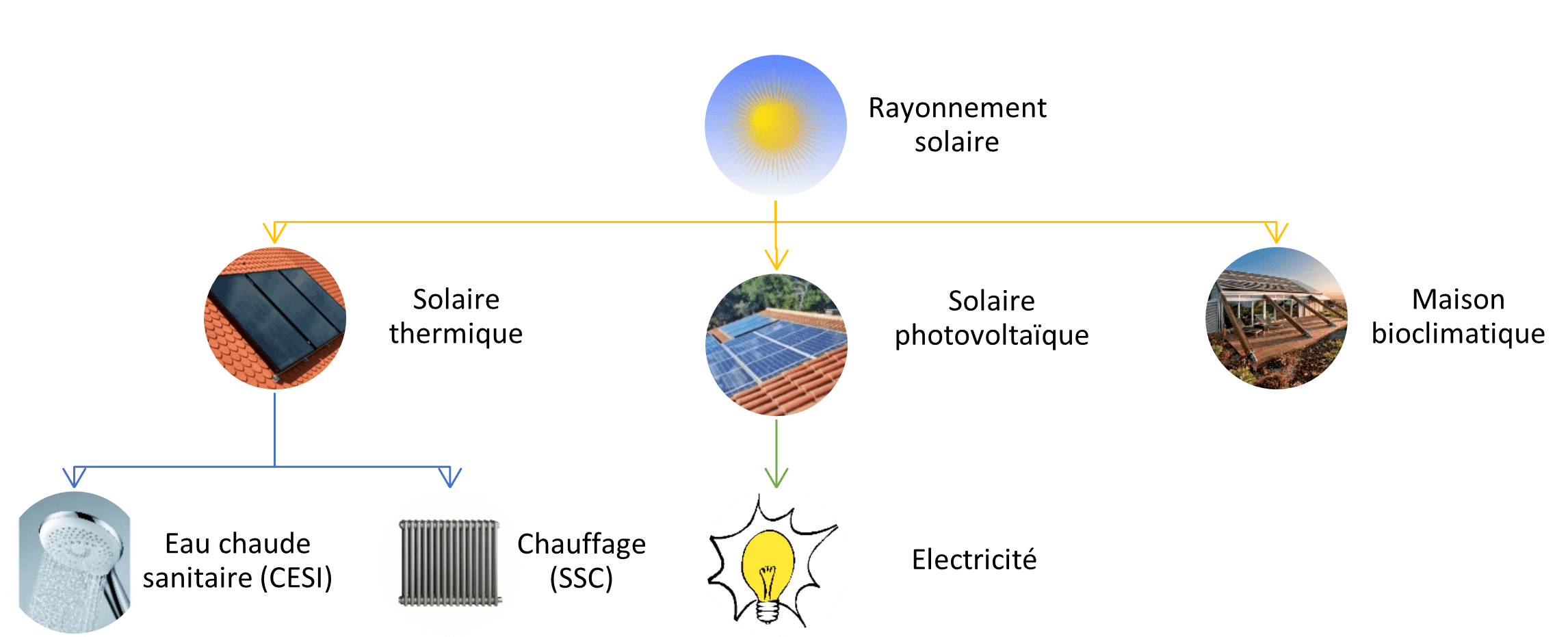 découvrez notre analyse approfondie comparant la rentabilité des systèmes photovoltaïques et thermiques. informez-vous sur les avantages, les coûts d'installation et les économies d'énergie pour choisir la meilleure option énergétique adaptée à vos besoins.