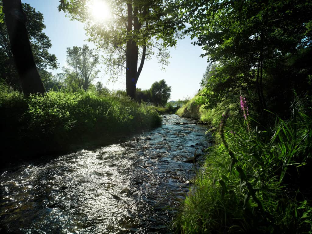 découvrez le courant naturel à toulouse, un espace dédié à la sensibilisation et à l'éducation environnementale. explorez nos initiatives écologiques, participez à des événements locaux et engagez-vous pour un avenir durable en harmonie avec la nature.