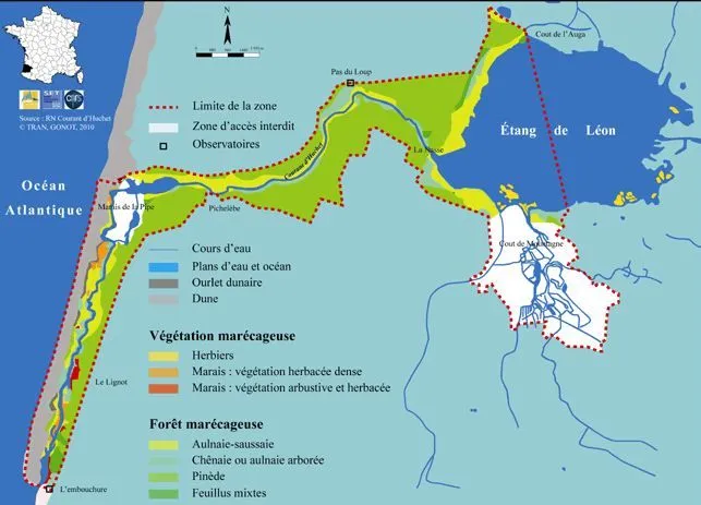 découvrez le courant naturel à toulouse, une approche innovante favorisant le bien-être et l'harmonie avec la nature. plongez dans cette expérience unique qui allie détente et connexion avec l'environnement dans la belle ville rose.