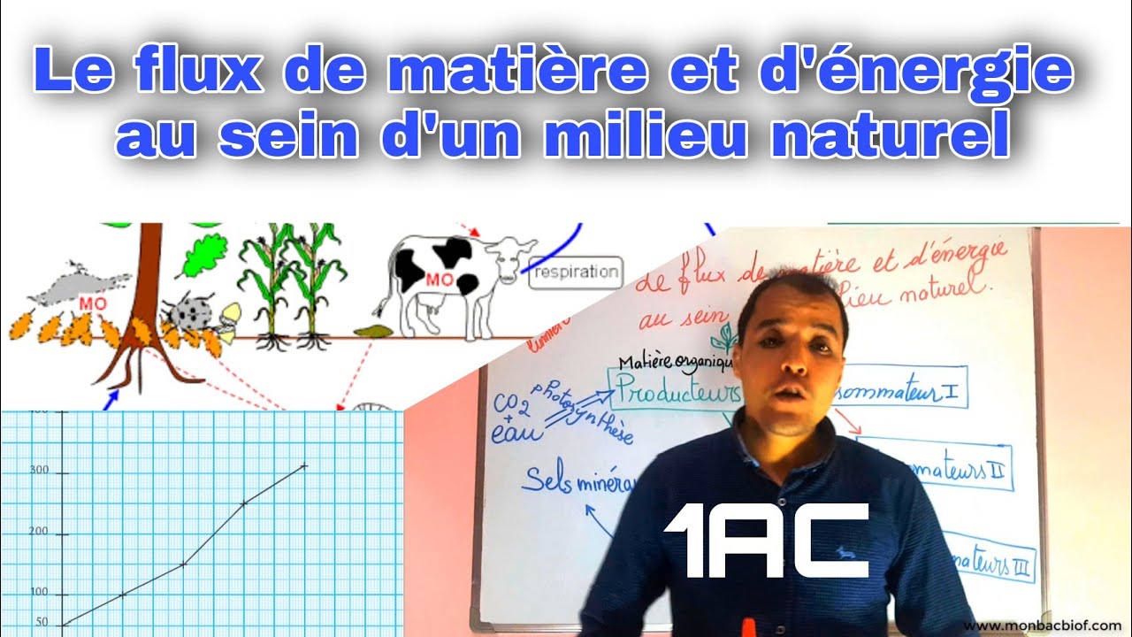 découvrez le concept de flux naturel, ses principes et son importance dans les écosystèmes. explorez comment ces flux contribuent à l'équilibre de la nature et à la durabilité environnementale.