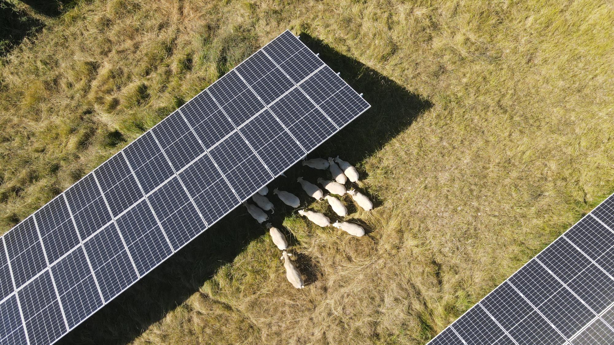 rejoignez le forum dbtpro dédié au photovoltaïque, où experts et passionnés échangent idées, conseils et meilleures pratiques pour optimiser votre projet solaire. partagez vos expériences, posez vos questions et découvrez les dernières tendances dans le domaine de l'énergie renouvelable.