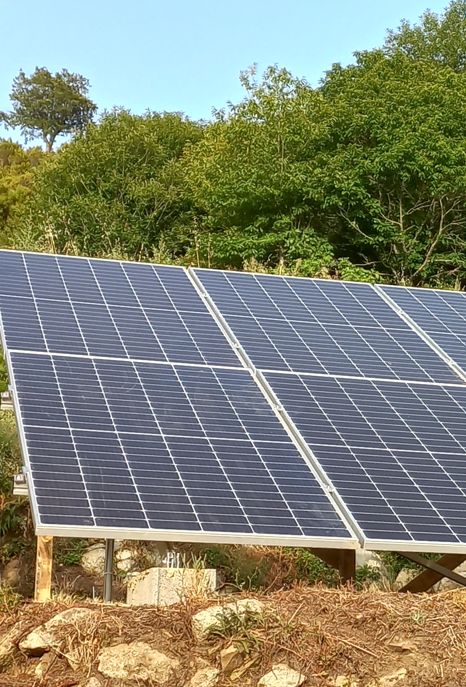 découvrez le forum dbtpro dédié aux passionnés de photovoltaïque. échangez des idées, partagez des expériences et trouvez des réponses à vos questions sur les technologies solaires et les innovations du secteur. rejoignez notre communauté et participez à des discussions enrichissantes sur l'énergie renouvelable.