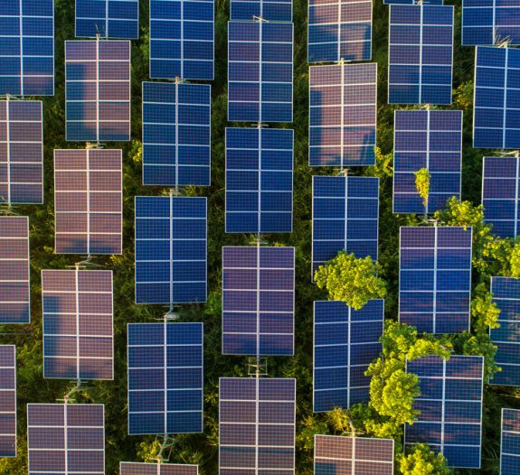 découvrez la définition du terme 'photovoltaïque', une technologie qui convertit la lumière du soleil en électricité. apprenez comment elle contribue à la transition énergétique et aux énergies renouvelables.