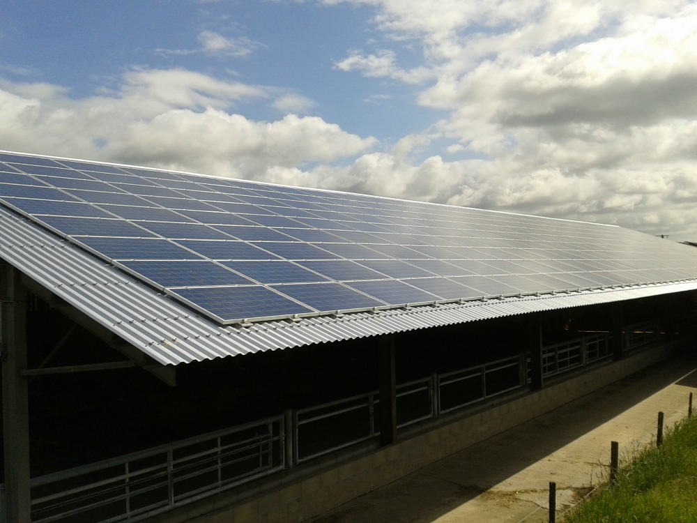 découvrez nos services de désamiantage pour panneaux photovoltaïques, garantissant un environnement sûr et conforme aux normes. notre équipe d'experts s'assure d'une intervention rapide et efficace pour protéger votre santé et optimiser la performance de vos installations.