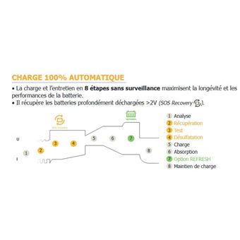 découvrez le désulfateur, un appareil essentiel pour préserver la durée de vie de vos batteries en éliminant les dépôts de sulfate. améliorez l'efficacité et la performance de vos équipements grâce à cette solution innovante.