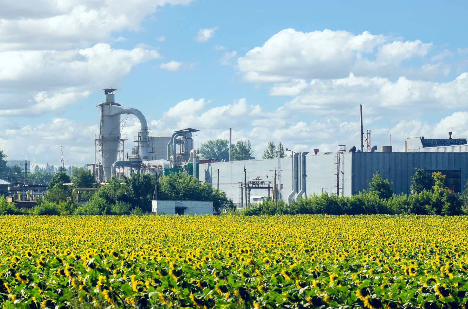 découvrez l'univers fascinant de l'industrie, un secteur clé de l'économie qui façonne notre quotidien. explorez les innovations technologiques, les processus de fabrication et les opportunités d'emploi, tout en apprenant comment l'industrie contribue au développement durable et à la croissance économique.