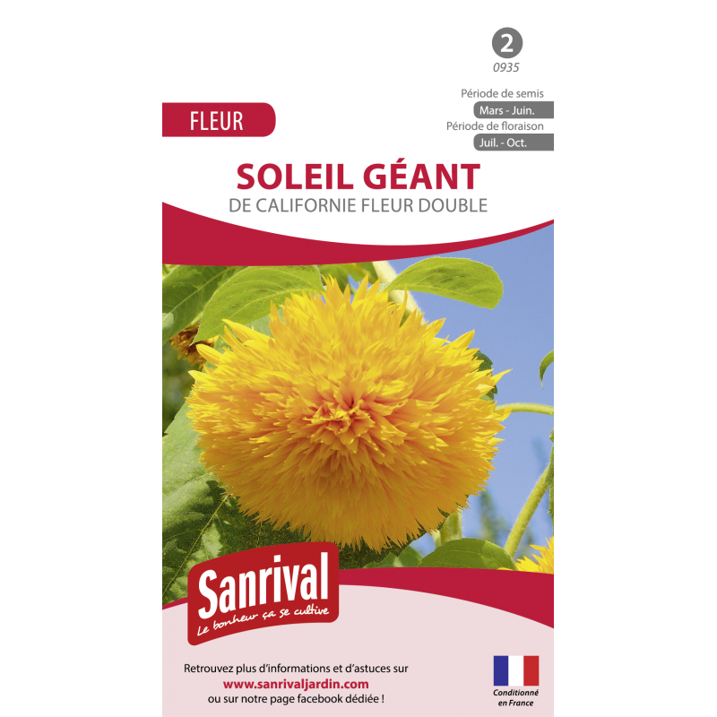 découvrez la magie de 'double soleil', une expérience inoubliable où les rayons du soleil se mêlent à la créativité. laissez-vous transporter par des histoires qui illuminent votre imagination et des moments qui rayonnent de joie.