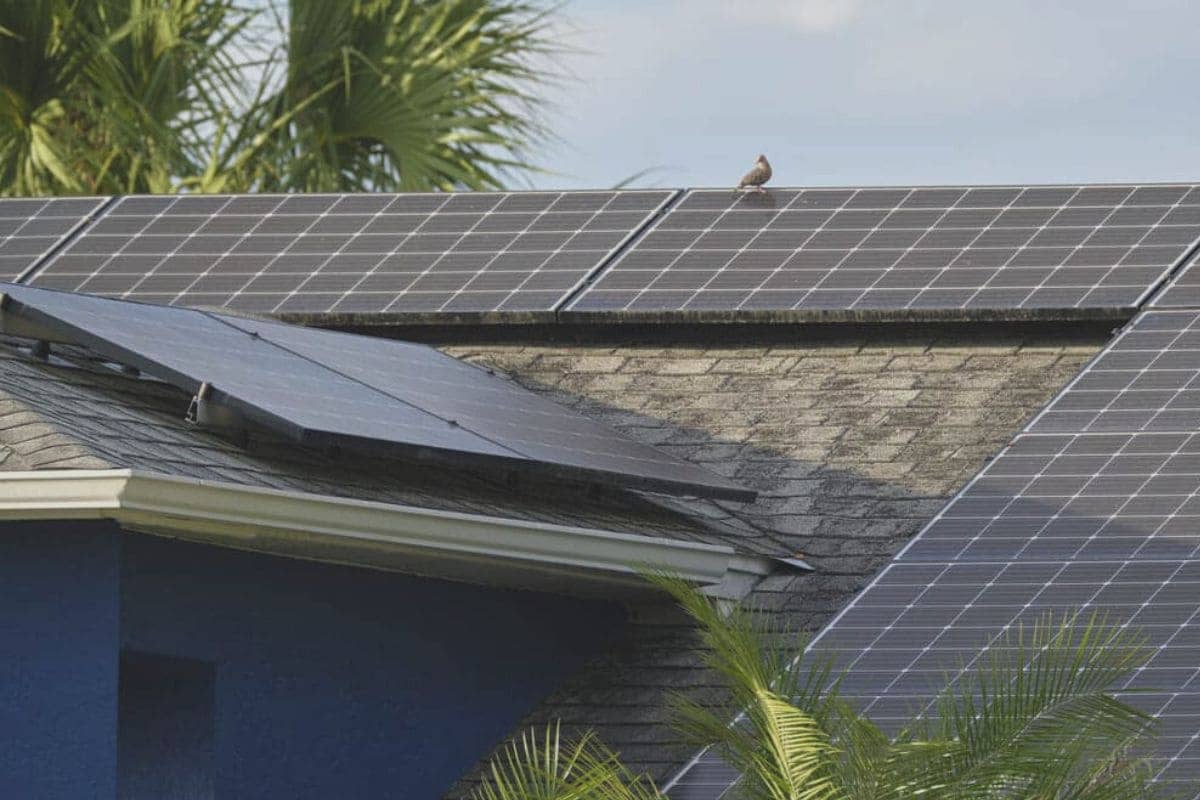 découvrez notre comparatif entre dualsun et sunpower, deux leaders du marché des panneaux solaires. analysez leurs performances, technologies et avantages pour choisir la solution énergétique idéale pour votre maison.