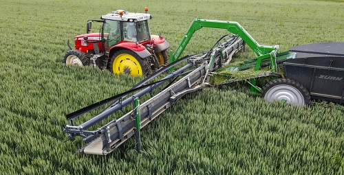 découvrez l'écimage, une technique de jardinage essentielle pour favoriser la croissance de vos plantes. apprenez comment couper les tiges de manière stratégique pour améliorer la floraison et la santé de vos espaces verts.