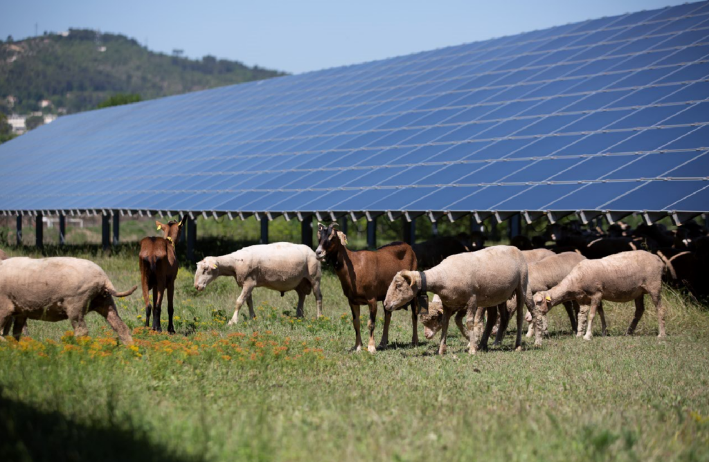 découvrez edf solaire, votre partenaire pour des solutions d'énergie solaire adaptées à vos besoins. profitez d'énergies renouvelables pour réduire votre facture d'électricité et contribuer à un avenir durable.
