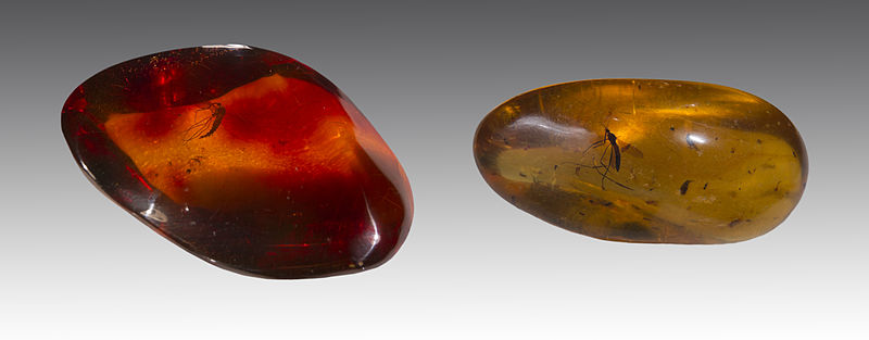 découvrez les bienfaits de l'énergie ambre, une pierre précieuse aux vertus apaisantes et réconfortantes. explorez comment l'ambre peut influencer positivement votre bien-être et votre ambiance quotidienne.