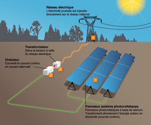 découvrez les avantages de l'énergie solaire, une solution durable et économique pour réduire votre empreinte carbone. apprenez comment capturer la lumière du soleil pour alimenter votre foyer et réaliser des économies sur vos factures d'électricité.