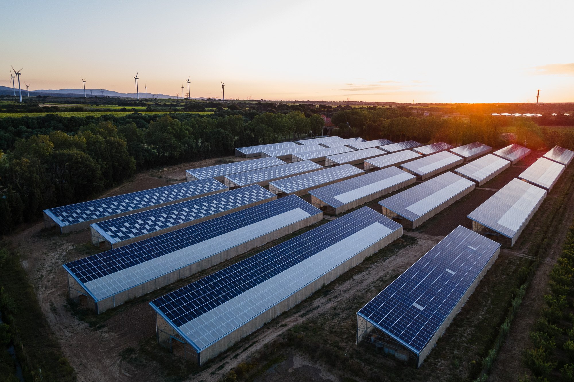découvrez les enjeux photovoltaïques dans le tarn : impact environnemental, opportunités économiques et solutions durables pour une transition énergétique réussie dans cette région dynamique. informez-vous sur les initiatives locales et comment le photovoltaïque peut transformer l'avenir énergétique du tarn.