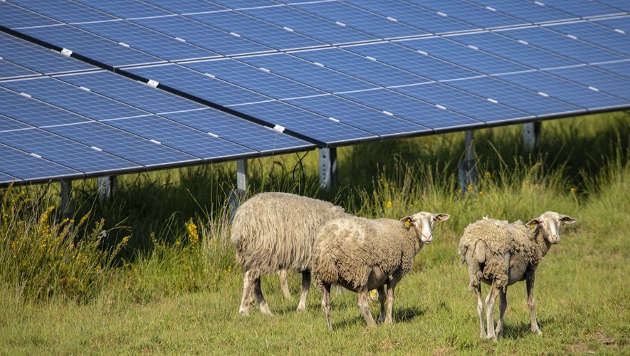 découvrez les enjeux photovoltaïques dans le tarn : analyse des bénéfices environnementaux, économique et social de l'énergie solaire dans la région. informez-vous sur les opportunités et défis liés à l'adoption du photovoltaïque pour un avenir durable.